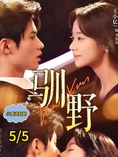 回声档案 科幻悬疑剧集高清封面